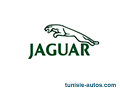 Jaguar Autre - Tunisie