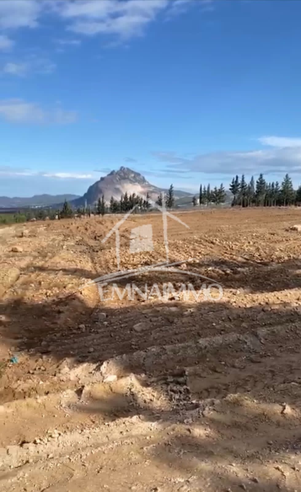 Mornag Jebel Ersass Terrain Terrain agricole Terrain agricole jebel ersass