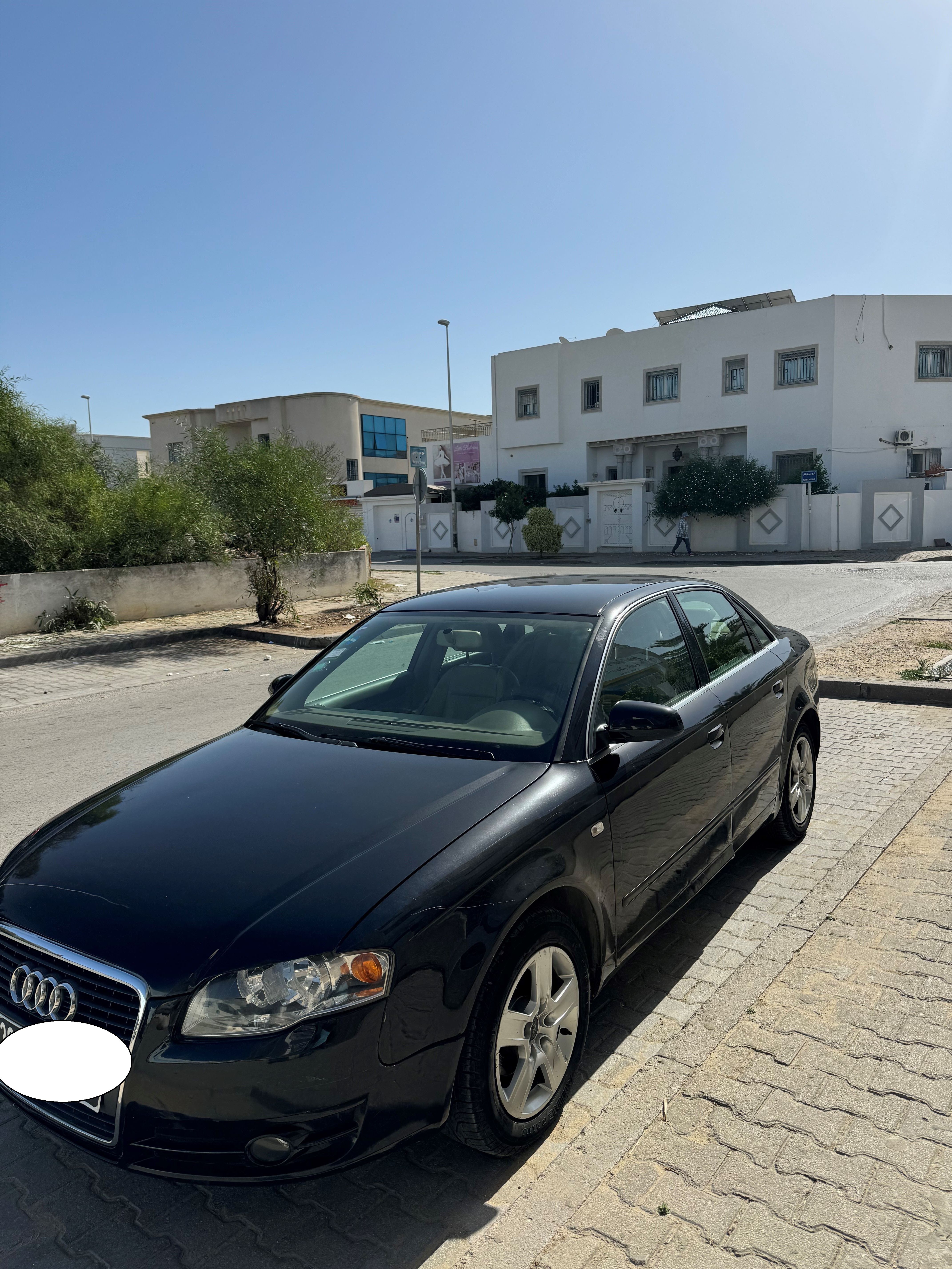 Ain Zaghouan Jardins de Carthage Audi A4 Audi a4 bien entretenue