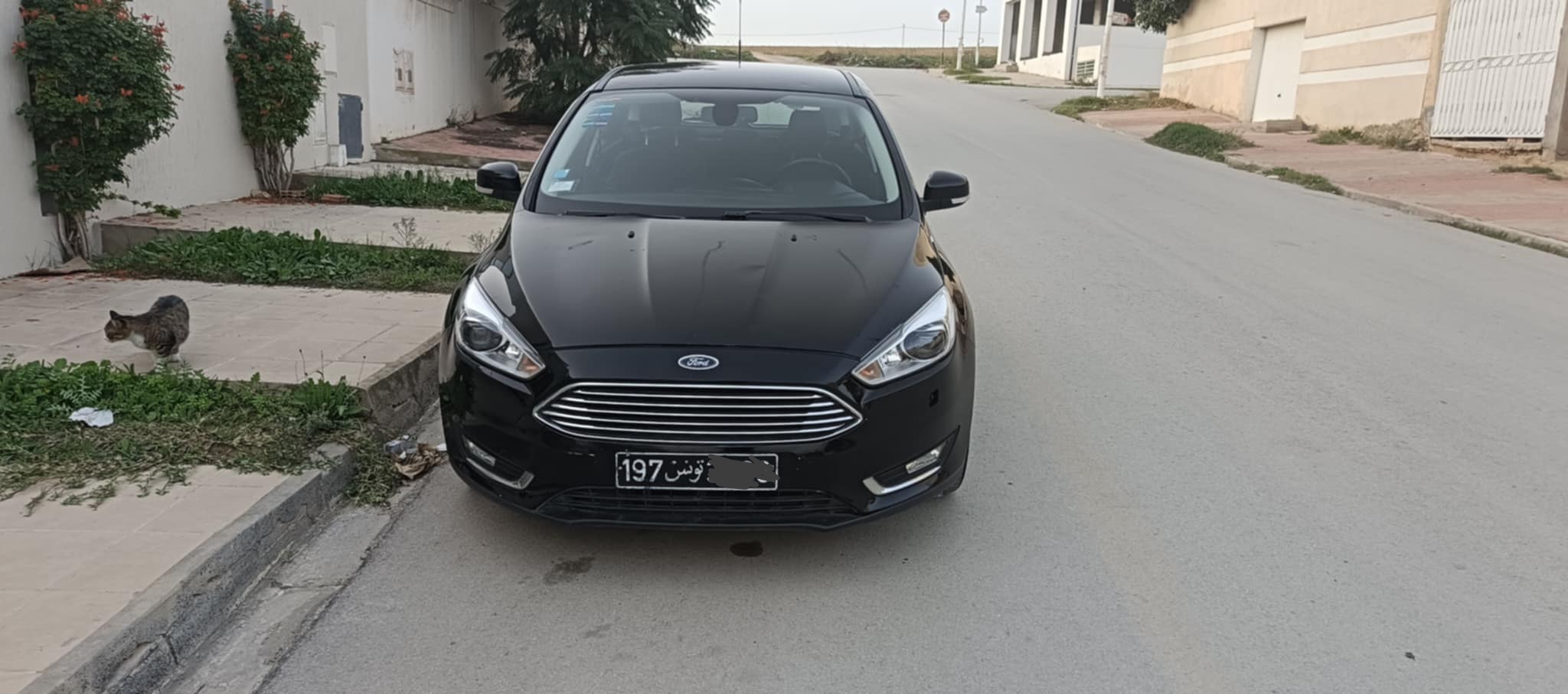 Ford Focus - Tunisie