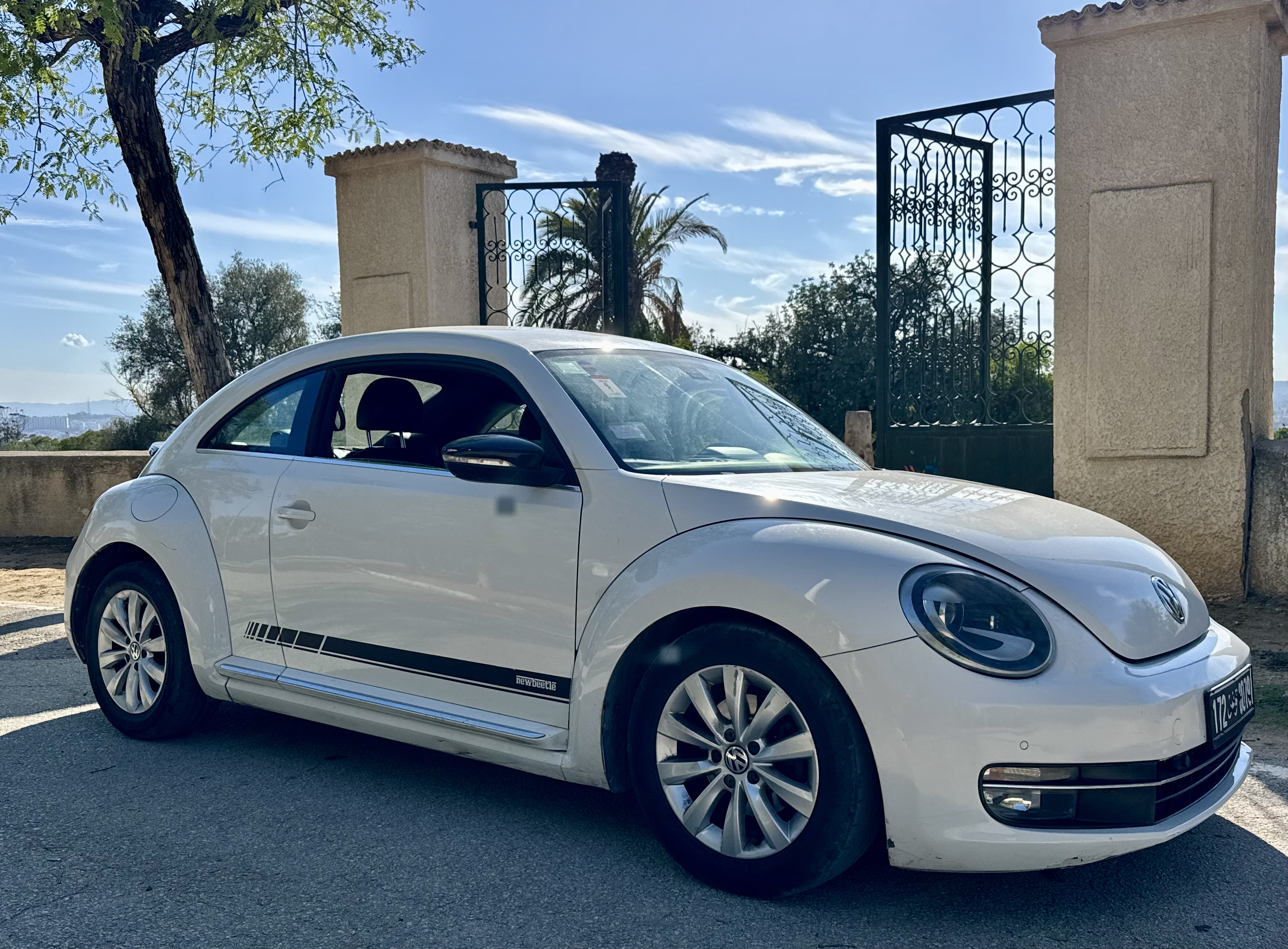 Volkswagen Beetle - Tunisie