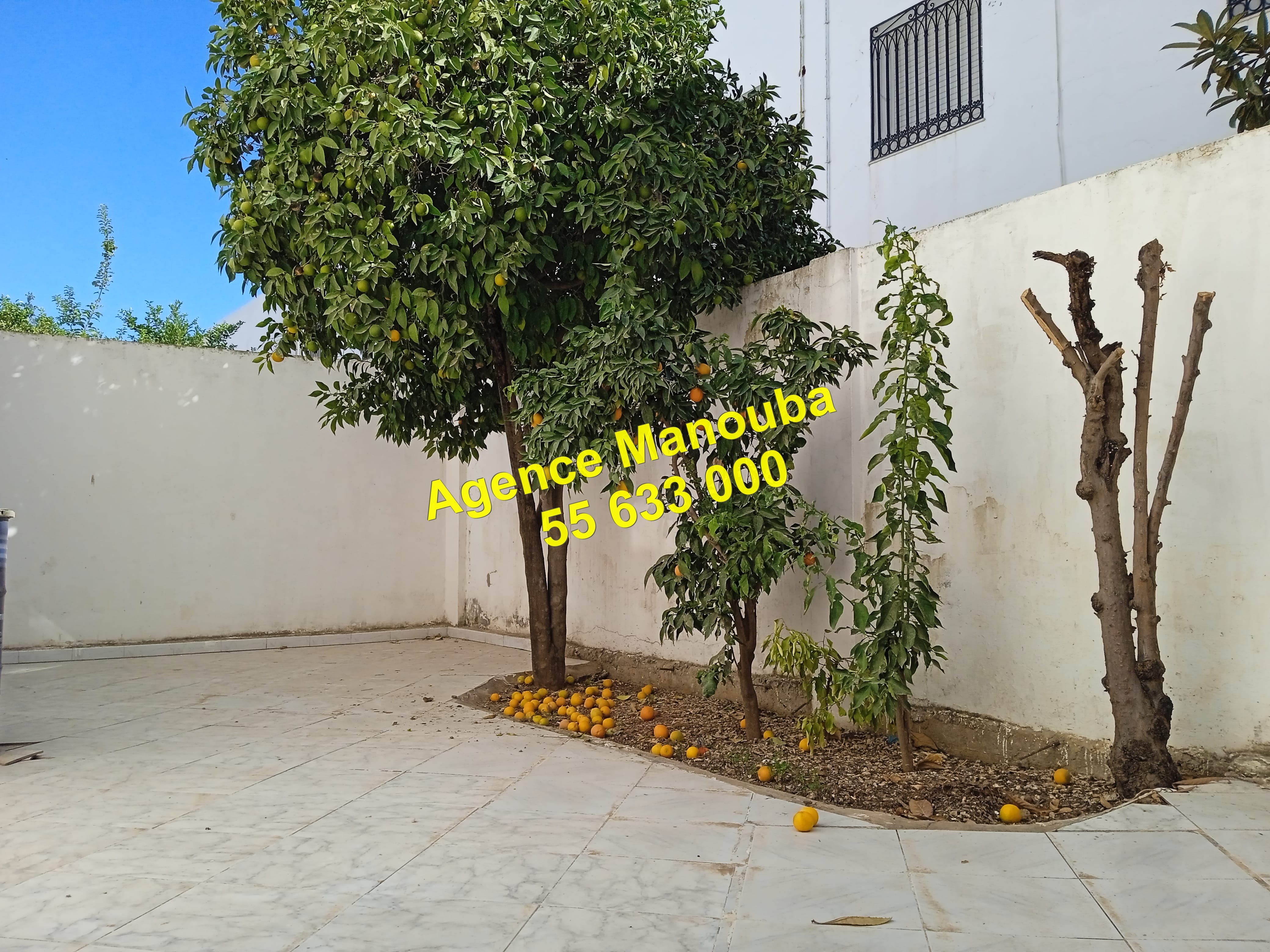 Mannouba La Mannouba Location Maisons Villa indpendante  la manouba