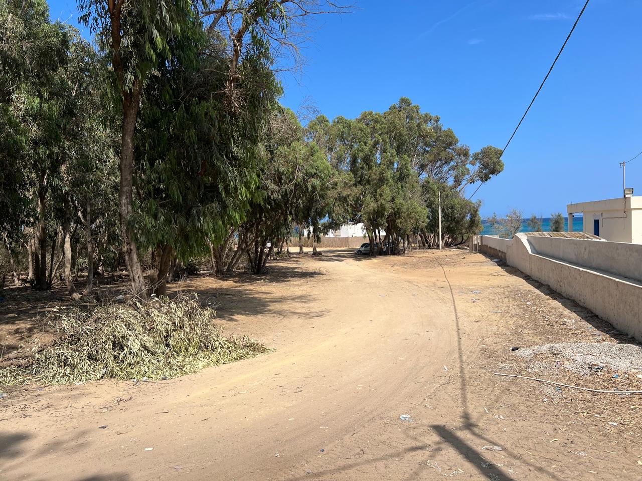 Hammam El Ghezaz Tamazrat Terrain Terrain agricole Investissez dans des terrains de 3  hectare