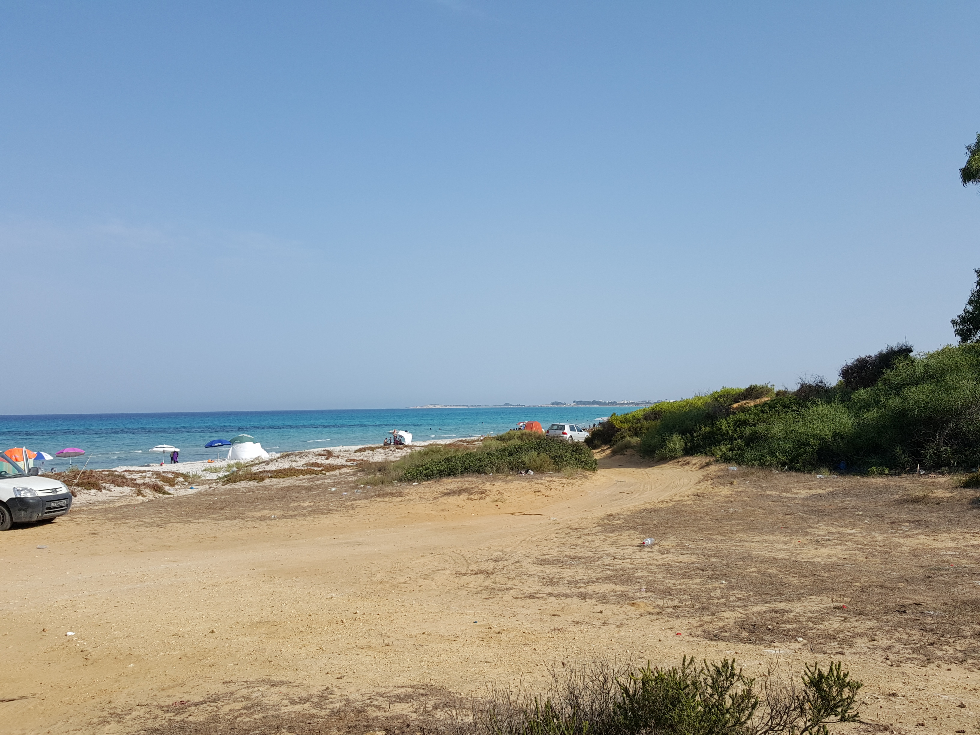 Hammam El Ghezaz Ezzahra Terrain Terrain agricole Affaire de 50000 mtre carr