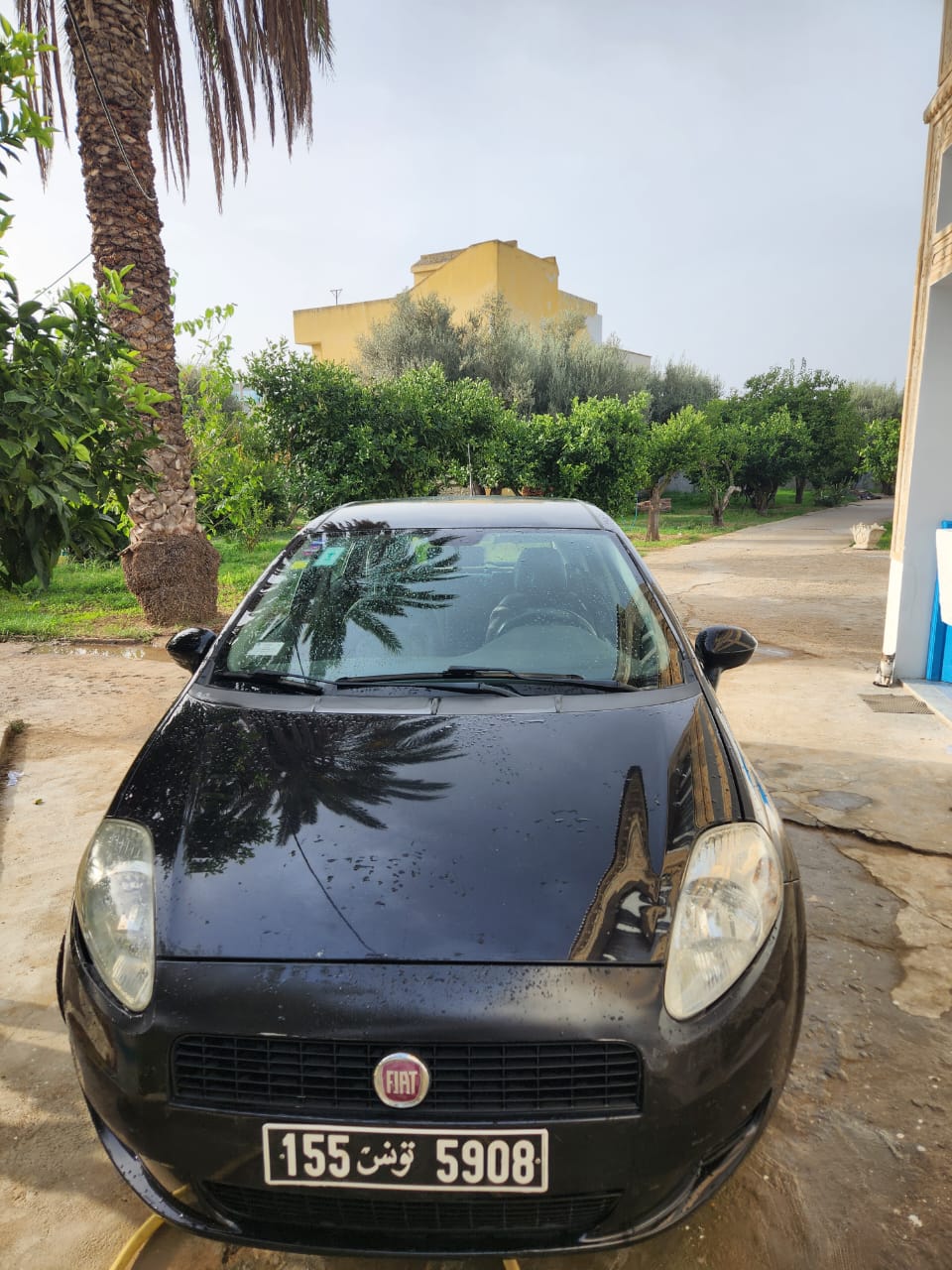 Menzel Bourguiba Menzel Bourguiba Fiat Grande Punto Un coup de coeur garantie