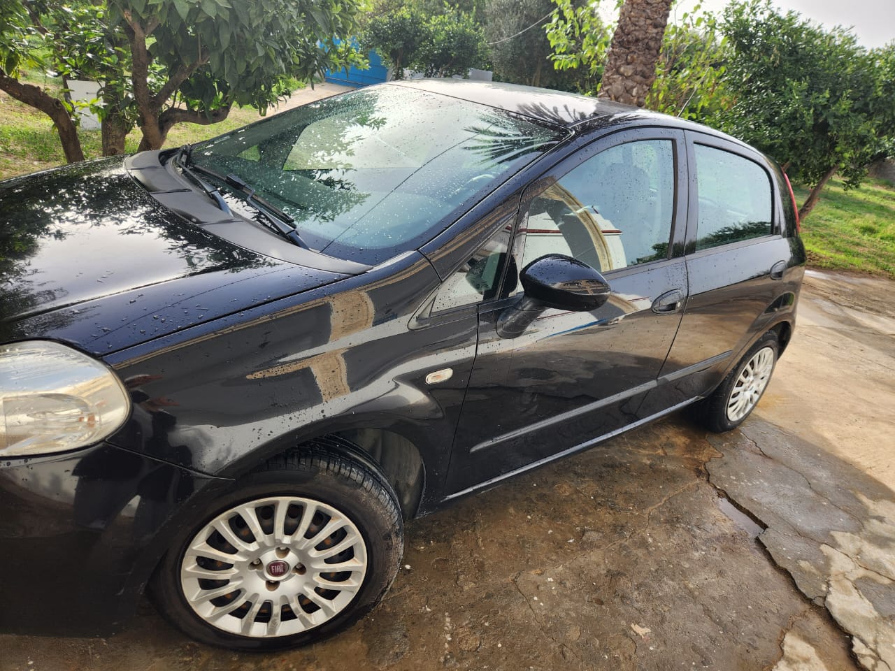 Menzel Bourguiba Menzel Bourguiba Fiat Grande Punto Un coup de coeur garantie