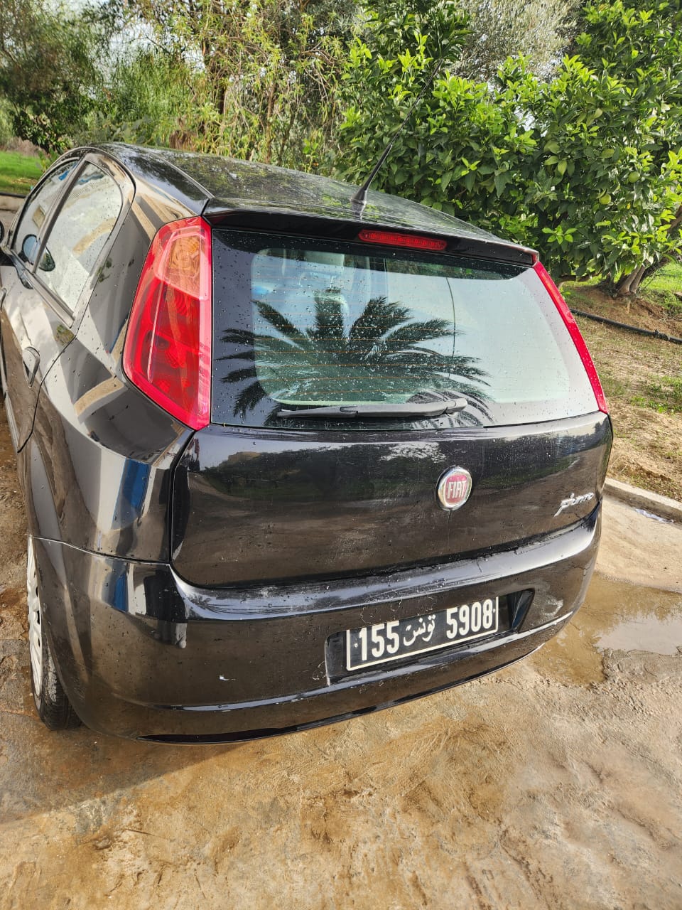 Menzel Bourguiba Menzel Bourguiba Fiat Grande Punto Un coup de coeur garantie