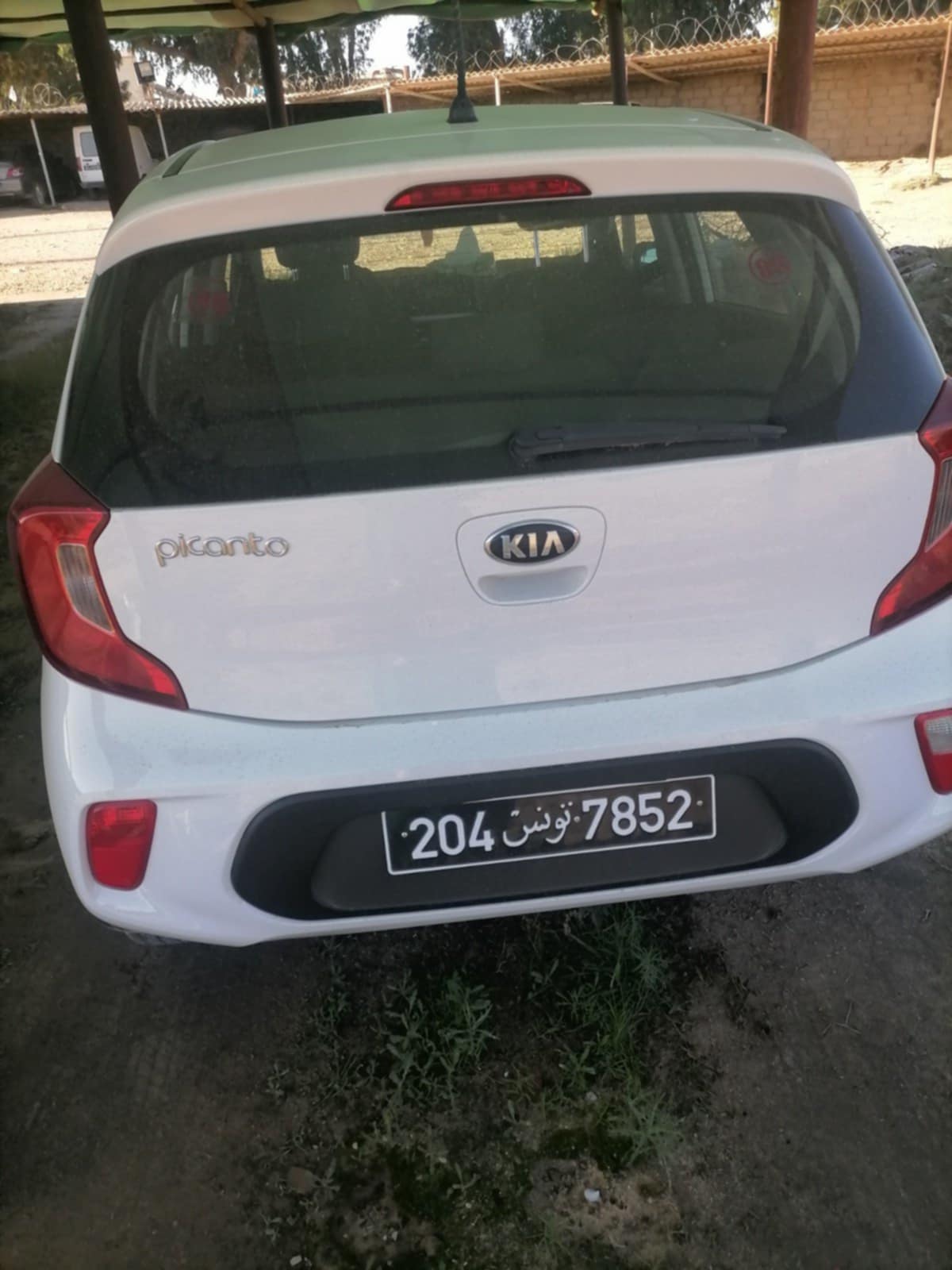Kasserine Nord Kasserine Kia Picanto Kia picanto model 2018