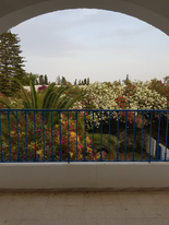 Hammamet Zone Hoteliere Location Appart. 1 pice Bel apt pres hotel nahrawas hammamet nord