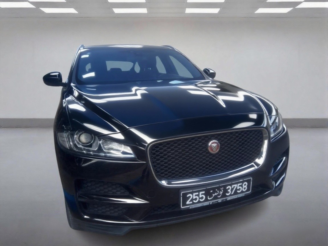 Jaguar Autre - Tunisie