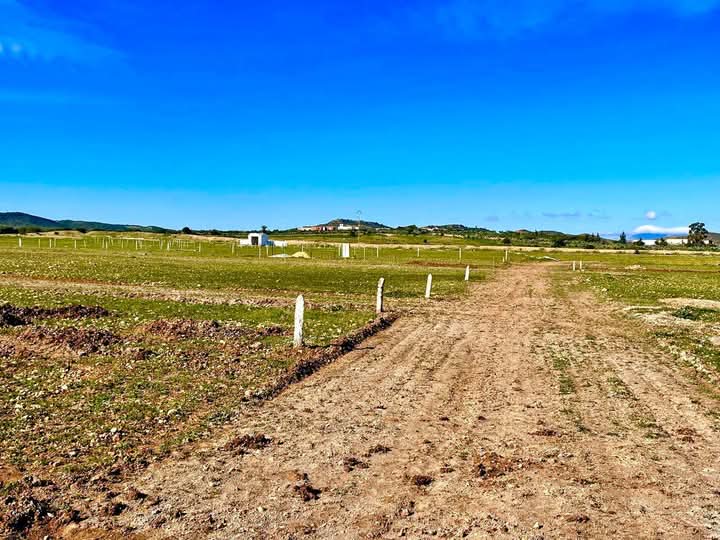 Bou Ficha&nbsp;Bou Ficha&nbsp;Terrain&nbsp;Terrain nu&nbsp;Bouficha terrain