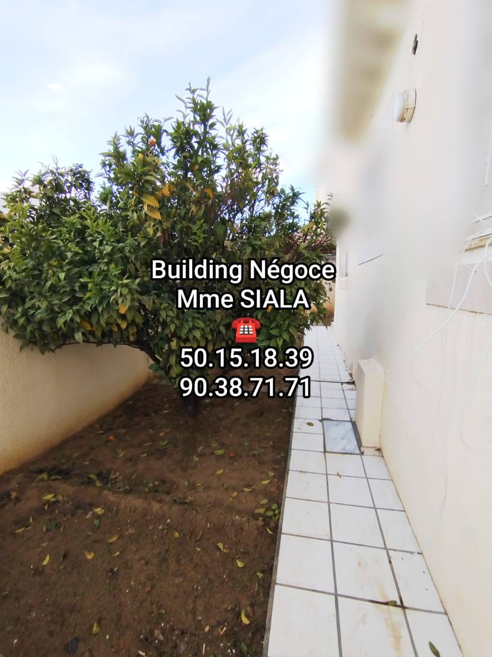 Ariana Ville&nbsp;Cite Ennasr 2&nbsp;Location&nbsp;Maisons&nbsp;Rdc villa s2 bien situ� avec jardin cit� ennasr