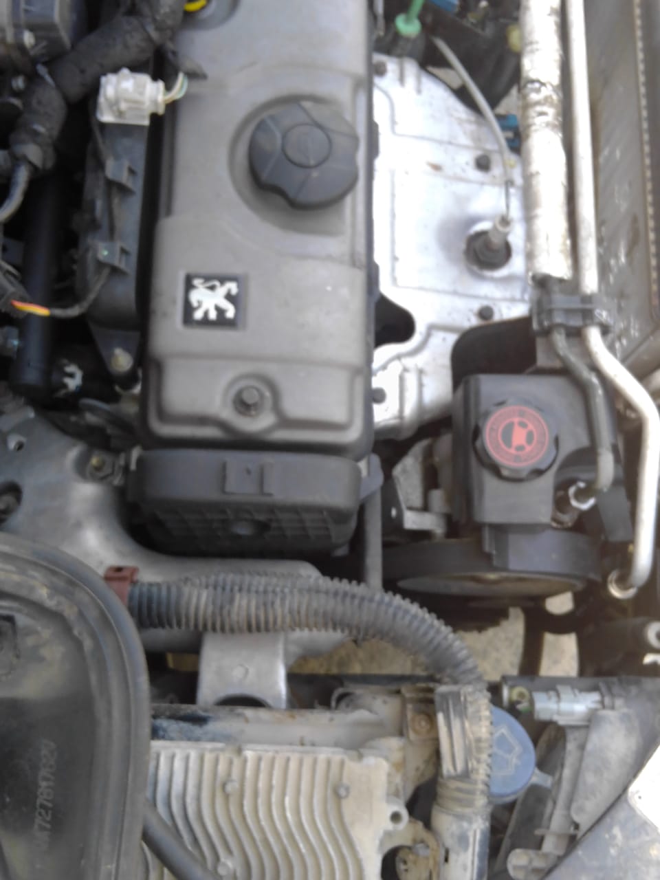 Peugeot&nbsp;206 - Tunisie