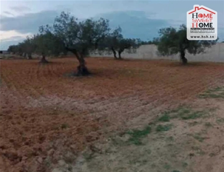 Sousse Ville&nbsp;Sousse&nbsp;Terrain&nbsp;Terrain nu&nbsp;Terrain sergio � chat mariem sousse