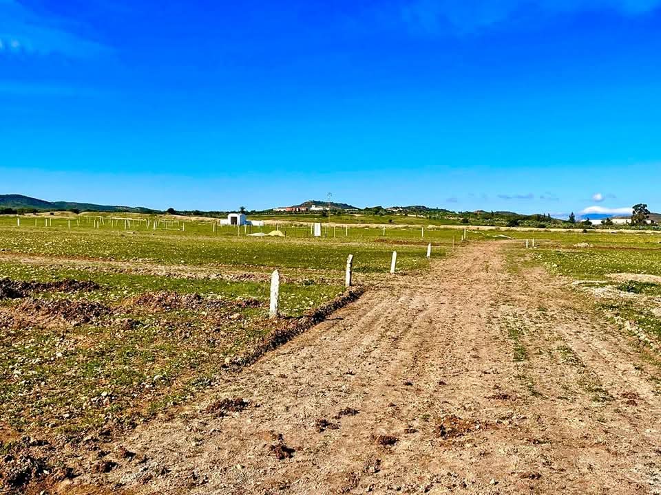 Bou Ficha&nbsp;Bou Ficha&nbsp;Vente&nbsp;Surfaces&nbsp;Terrain prix n�gociable