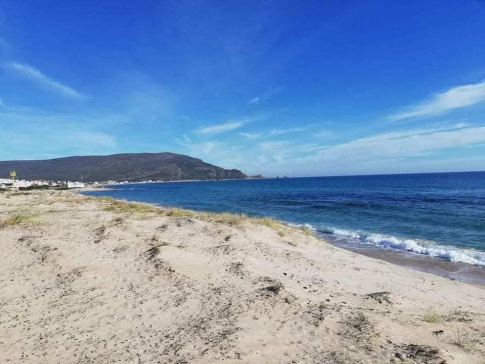 El Haouaria&nbsp;El Haouaria&nbsp;Terrain&nbsp;Terrain nu&nbsp;Le plus vendeur