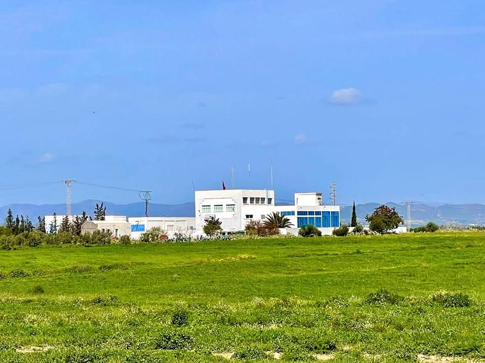 Bou Ficha&nbsp;Ain Errahma&nbsp;Vente&nbsp;Surfaces&nbsp;Sp�cial investissement