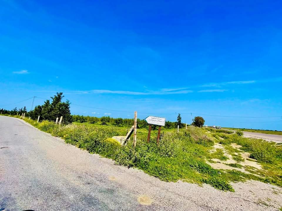 Bou Ficha&nbsp;Bou Ficha&nbsp;Terrain&nbsp;Terrain agricole&nbsp;Terrain a bouficha a bas prix