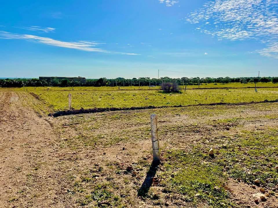 Sidi Thabet&nbsp;Sidi Thabet&nbsp;Terrain&nbsp;Terrain nu&nbsp;Terrain 445 m2 a  111 250 dt