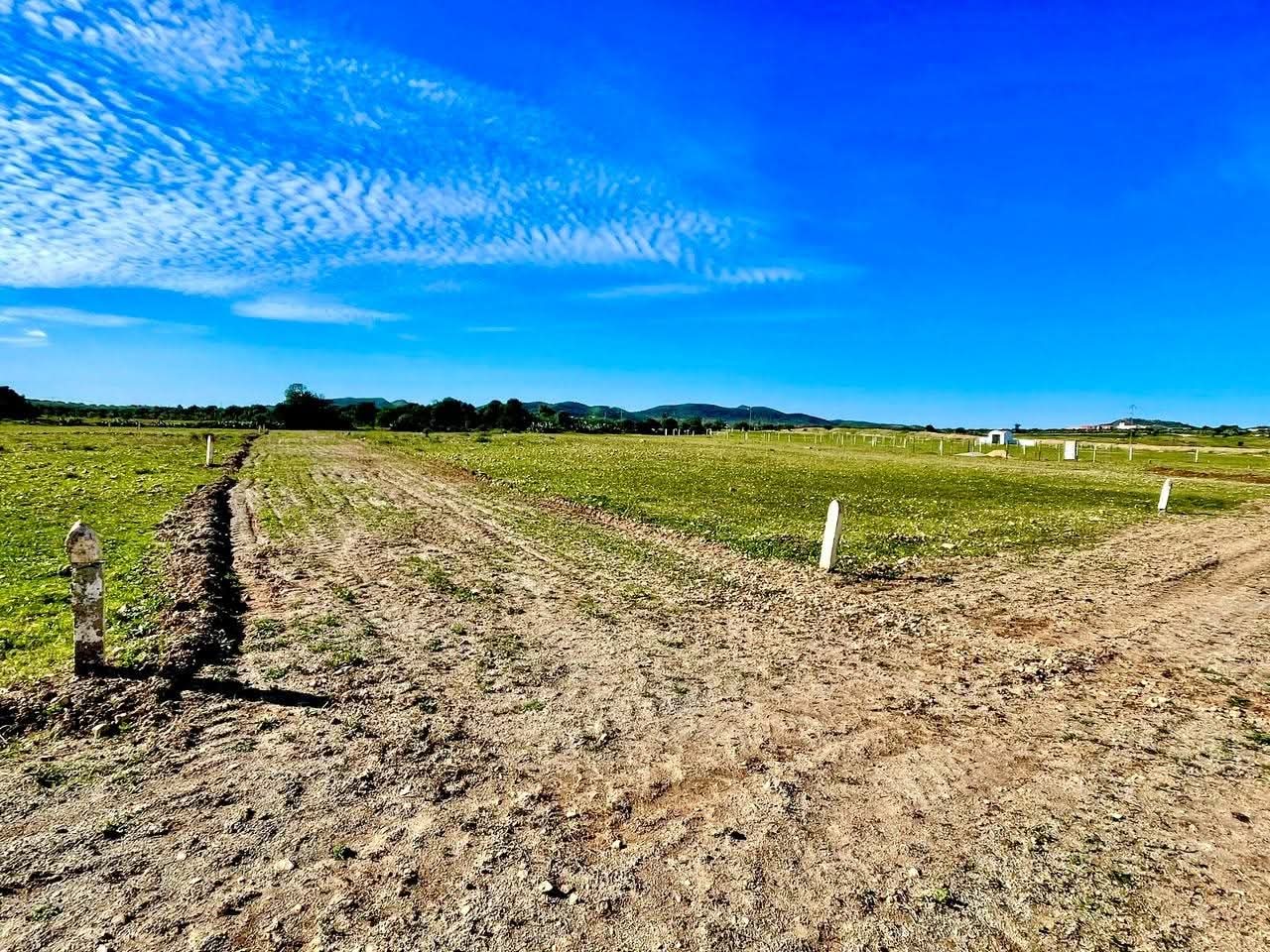 Sidi Thabet&nbsp;Sidi Thabet&nbsp;Terrain&nbsp;Terrain nu&nbsp;Terrain 445 m2 a  111 250 dt