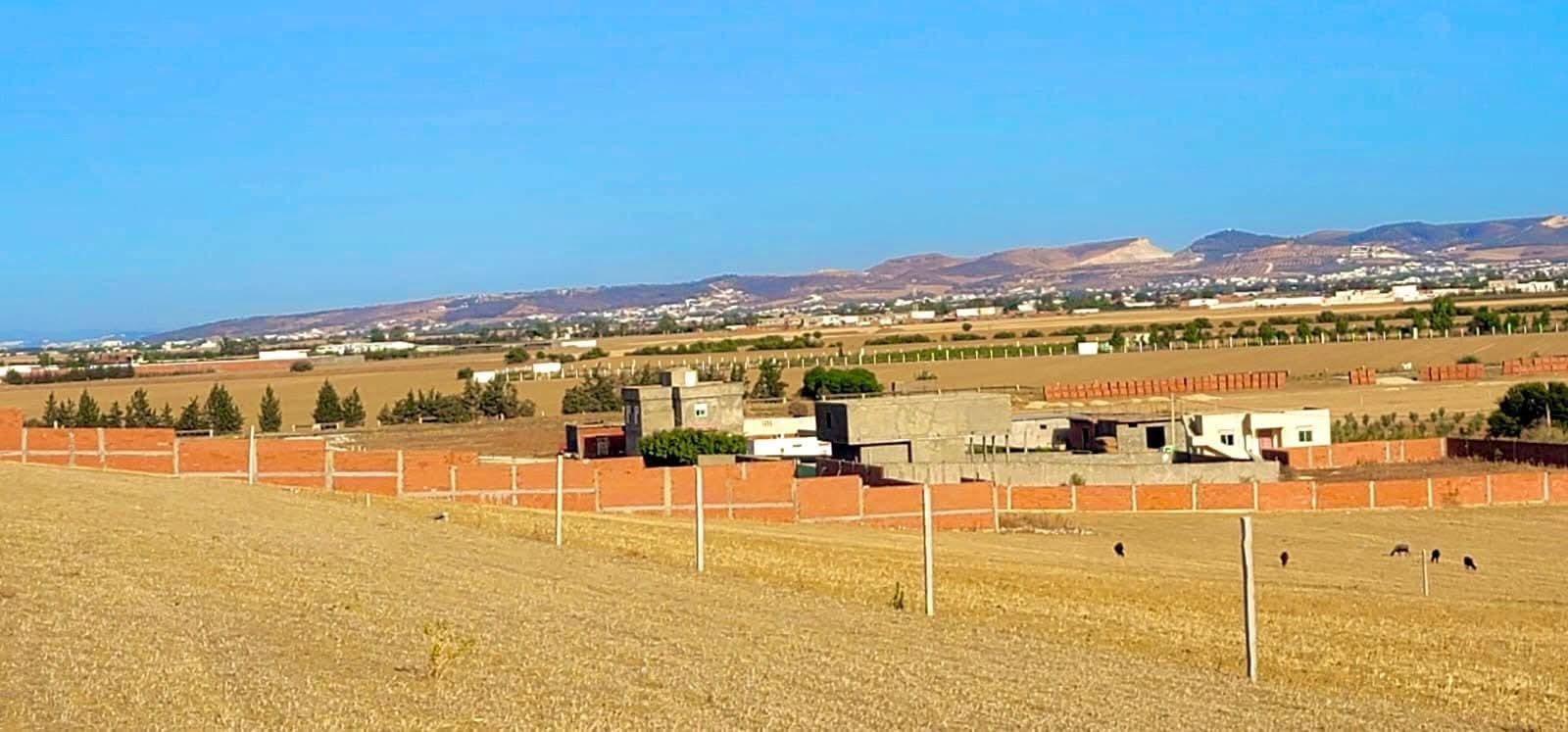 Sidi Thabet&nbsp;Sidi Thabet&nbsp;Terrain&nbsp;Terrain agricole&nbsp;Terrain en promo  situ� a sidi thabet