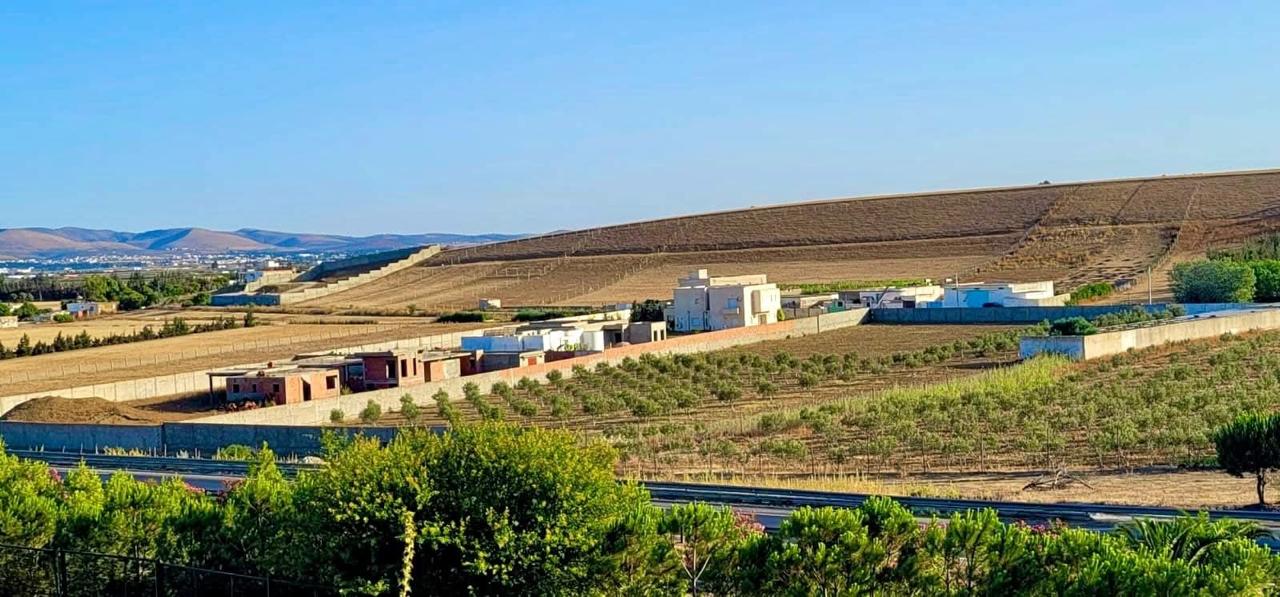 Sidi Thabet&nbsp;Chorfech 2&nbsp;Terrain&nbsp;Terrain nu&nbsp;Investissement de terrain