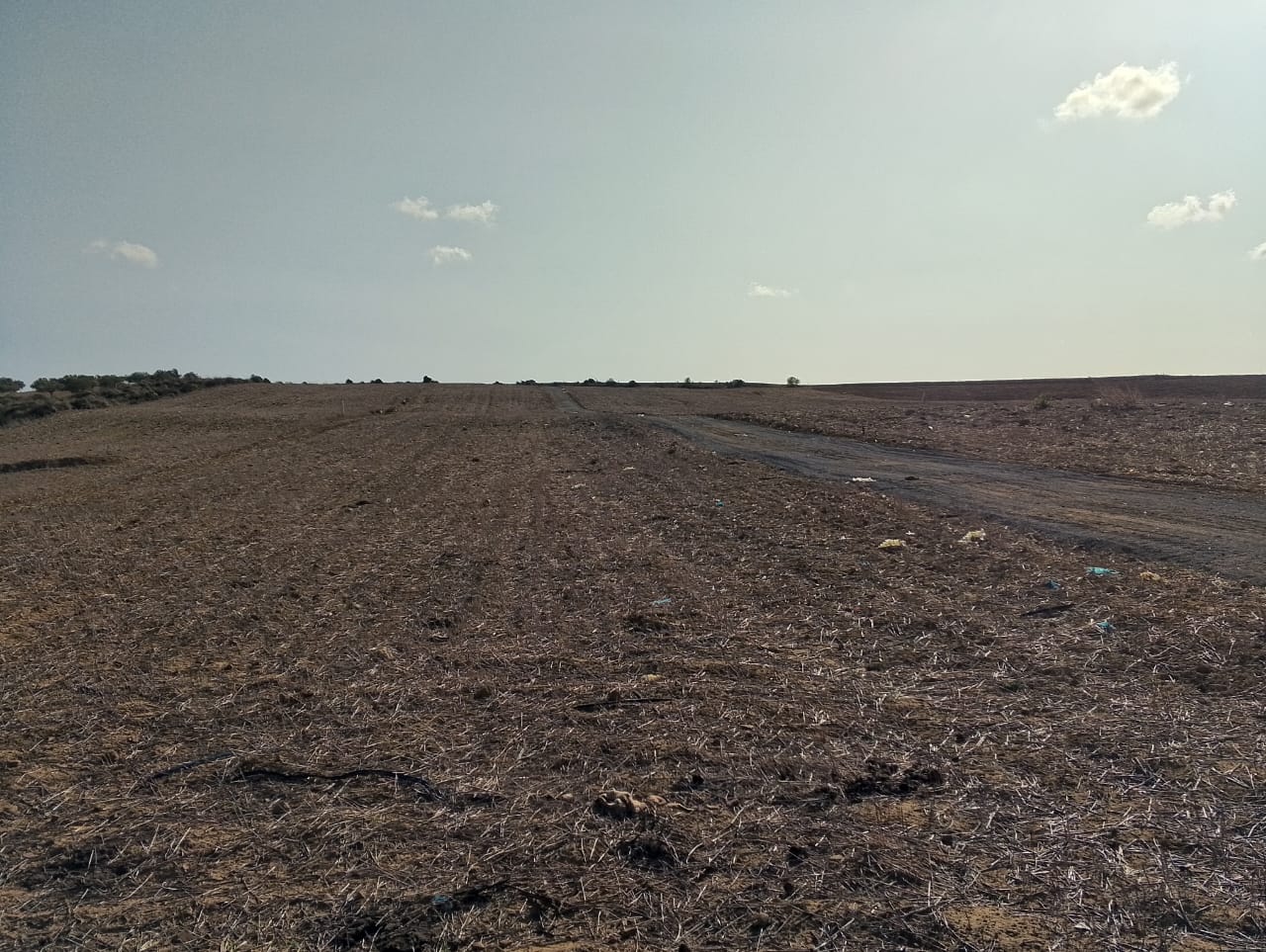 Kelibia&nbsp;Azmour&nbsp;Terrain&nbsp;Terrain nu&nbsp;Des offres sp�cial � kelibia