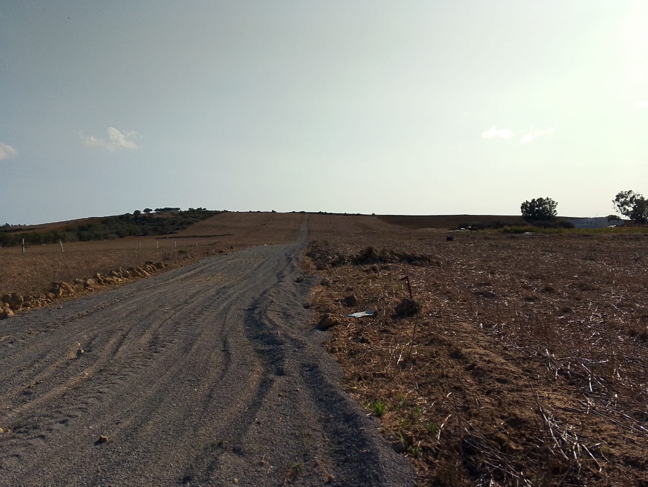 Kelibia&nbsp;Azmour&nbsp;Terrain&nbsp;Terrain nu&nbsp;Des offres sp�cial � kelibia