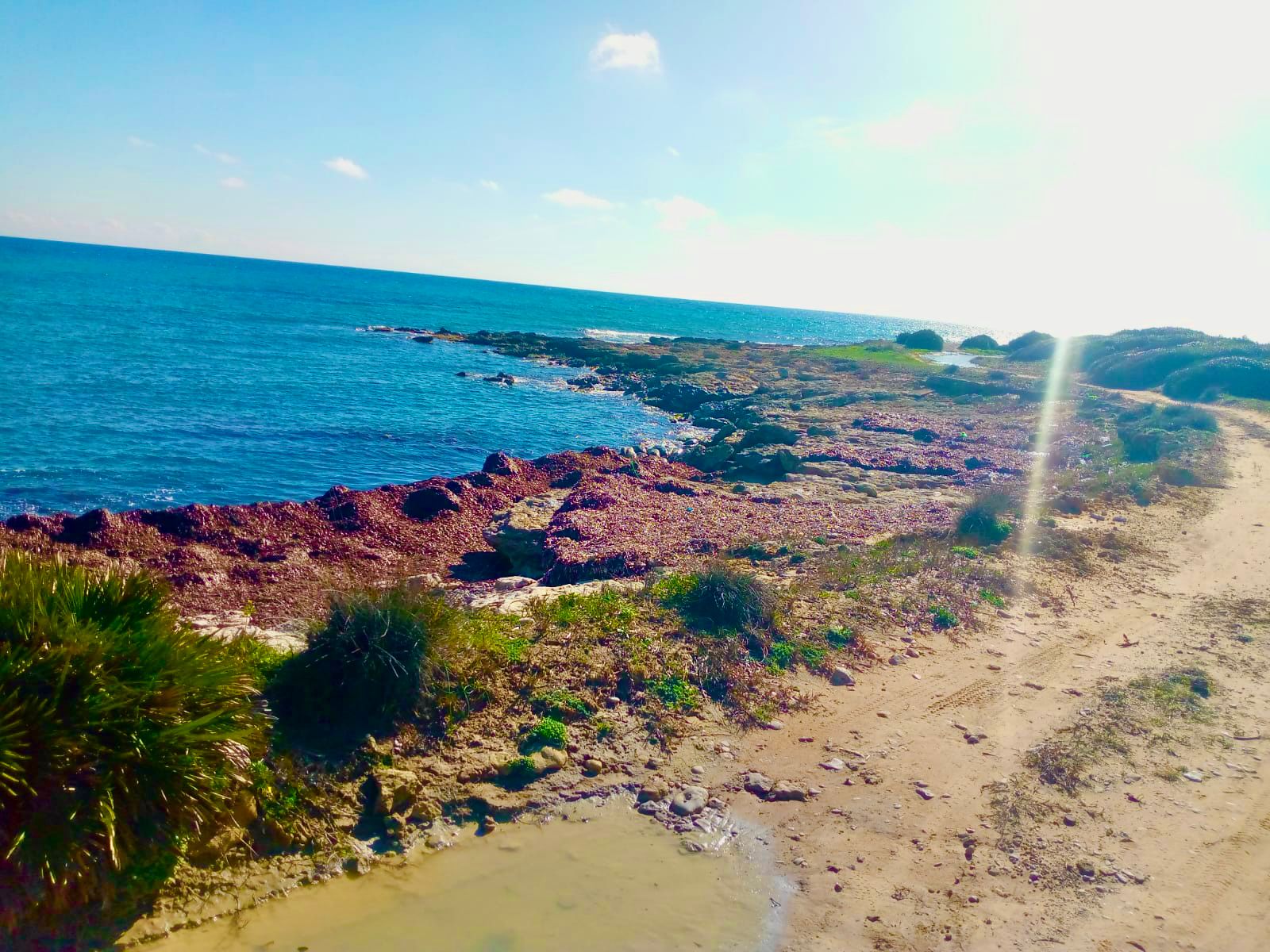 Kelibia&nbsp;Kerkouane&nbsp;Terrain&nbsp;Terrain nu&nbsp;Des terrains pied dans l'eau