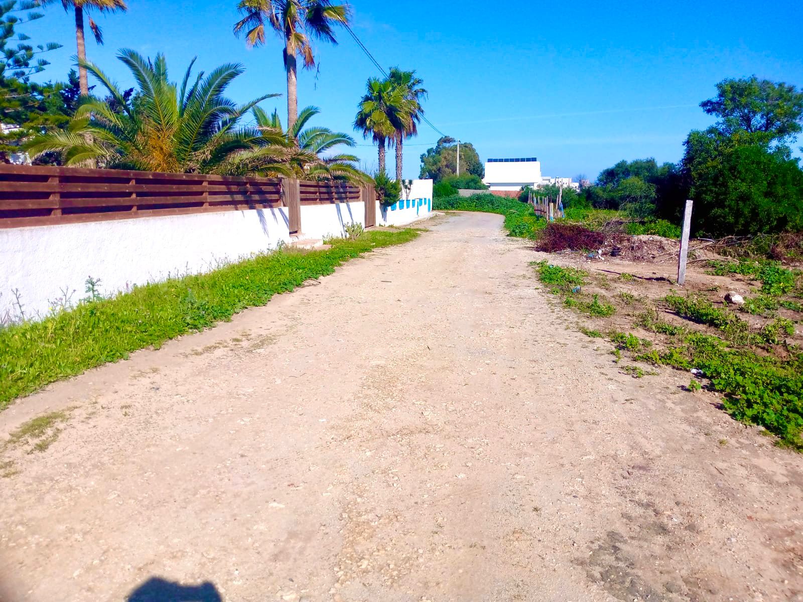 Kelibia&nbsp;Kerkouane&nbsp;Terrain&nbsp;Terrain nu&nbsp;Des terrains pied dans l'eau