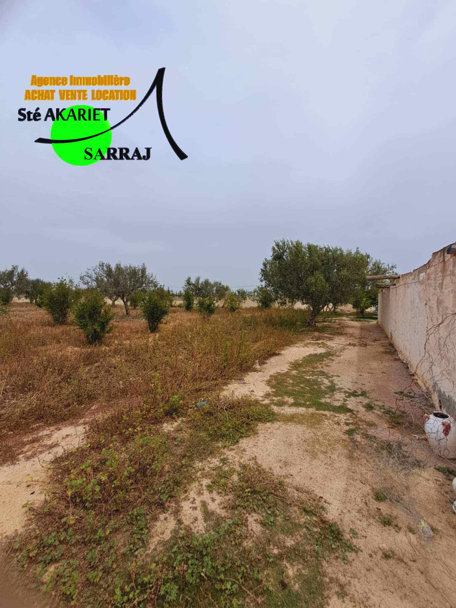 Kalaa El Kebira&nbsp;Belaoum&nbsp;Terrain&nbsp;Terrain agricole&nbsp;Senia clotur� 2 hectares � kalaa kebira baloum