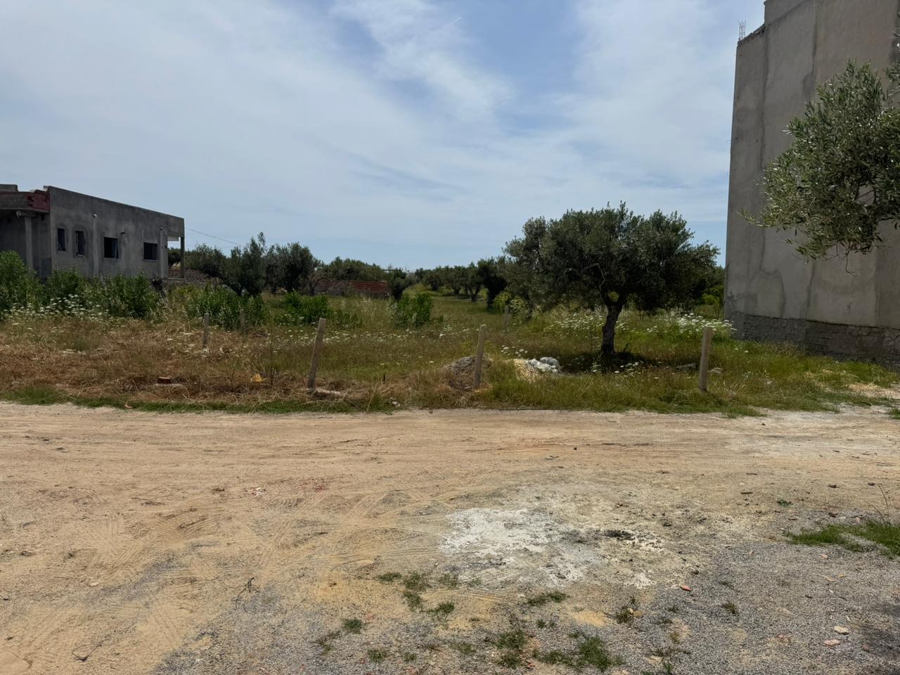 Hammamet&nbsp;Hammamet&nbsp;Terrain&nbsp;Terrain nu&nbsp;Terrain � hammamet sud