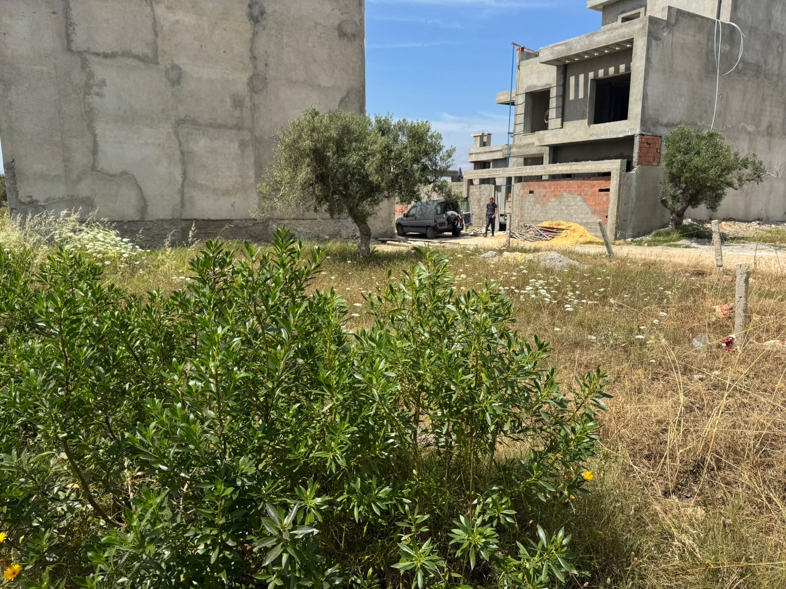 Hammamet&nbsp;Hammamet&nbsp;Terrain&nbsp;Terrain nu&nbsp;Terrain � hammamet sud