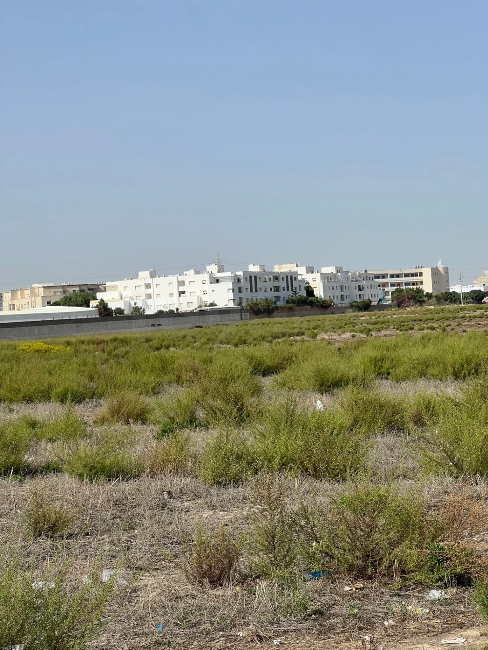 La Marsa&nbsp;Sidi Daoud&nbsp;Terrain&nbsp;Terrain nu&nbsp;Offre magnifique de 800 m�tre carr�