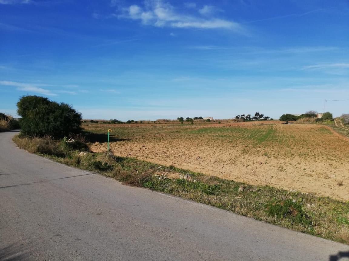 El Haouaria&nbsp;El Haouaria&nbsp;Vente&nbsp;Surfaces&nbsp;Votre terrain de r�ve pr�s de la mer � kelibia