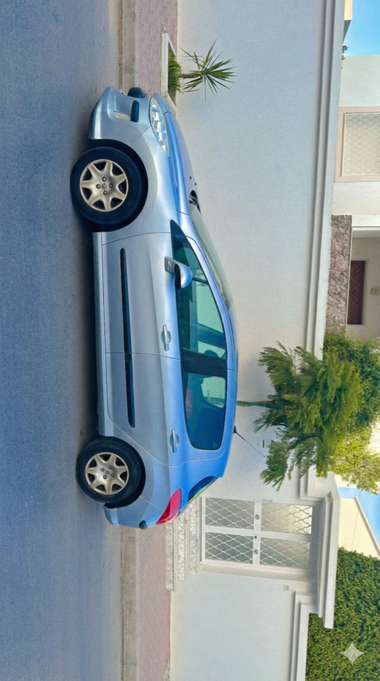 La Soukra&nbsp;Mosque Erraoudha&nbsp;Peugeot&nbsp;308&nbsp;Peugeot 308