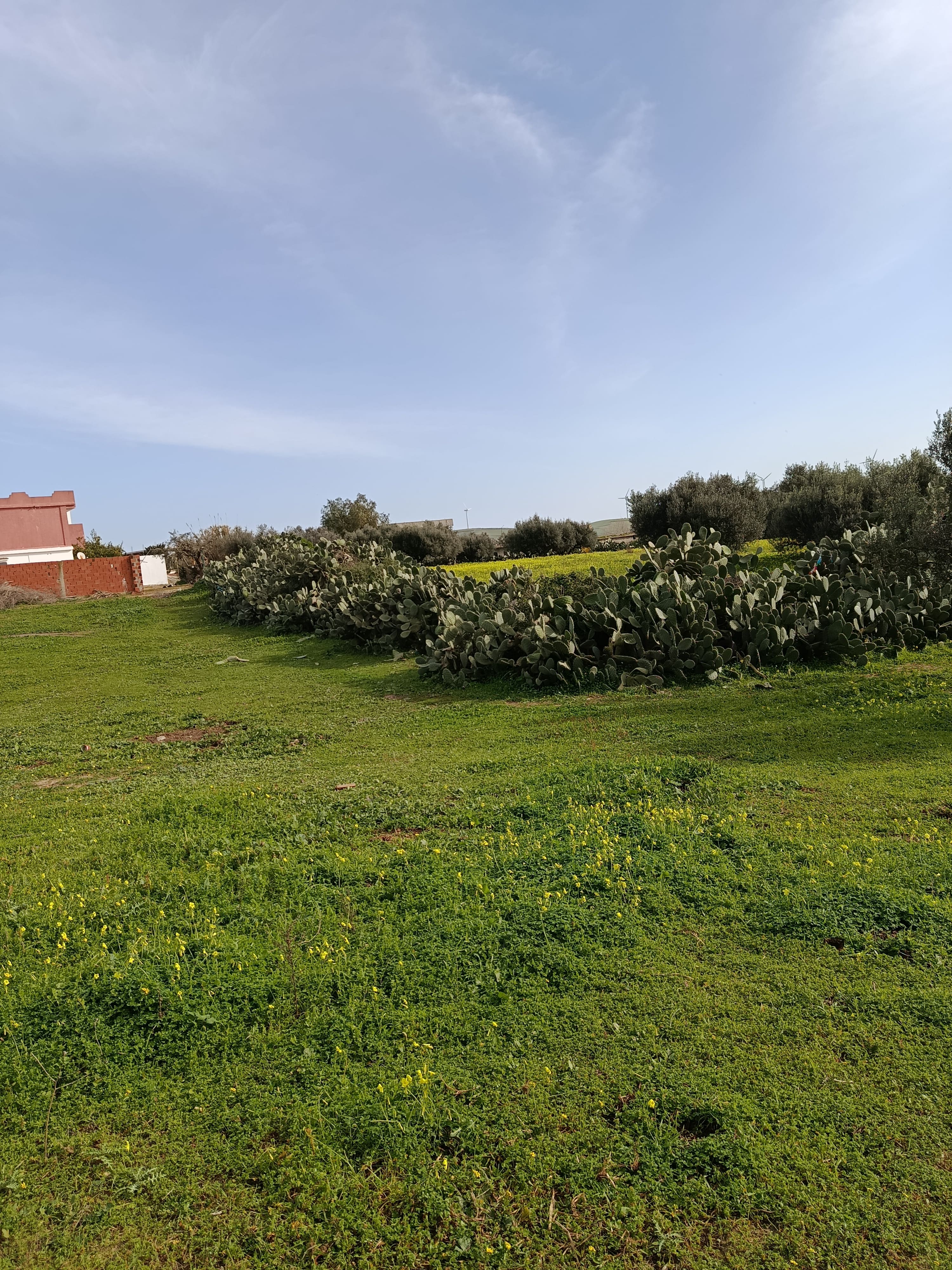 Ras Jebel&nbsp;El Garia Ras Jebal&nbsp;Terrain&nbsp;Terrain nu&nbsp;Terrain de construction