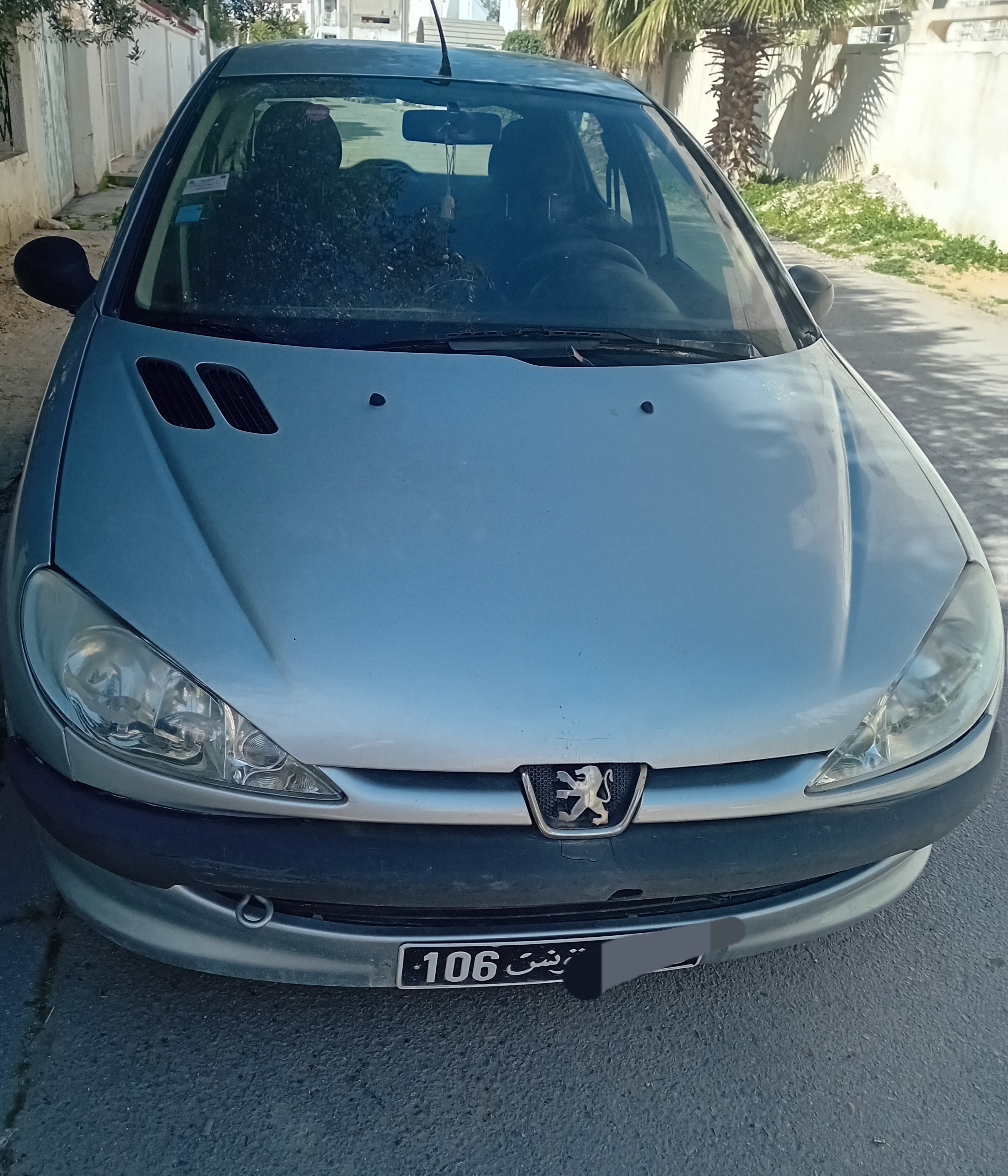 Ariana Ville&nbsp;Borj El Baccouche&nbsp;Peugeot&nbsp;206&nbsp;Peugeot 206