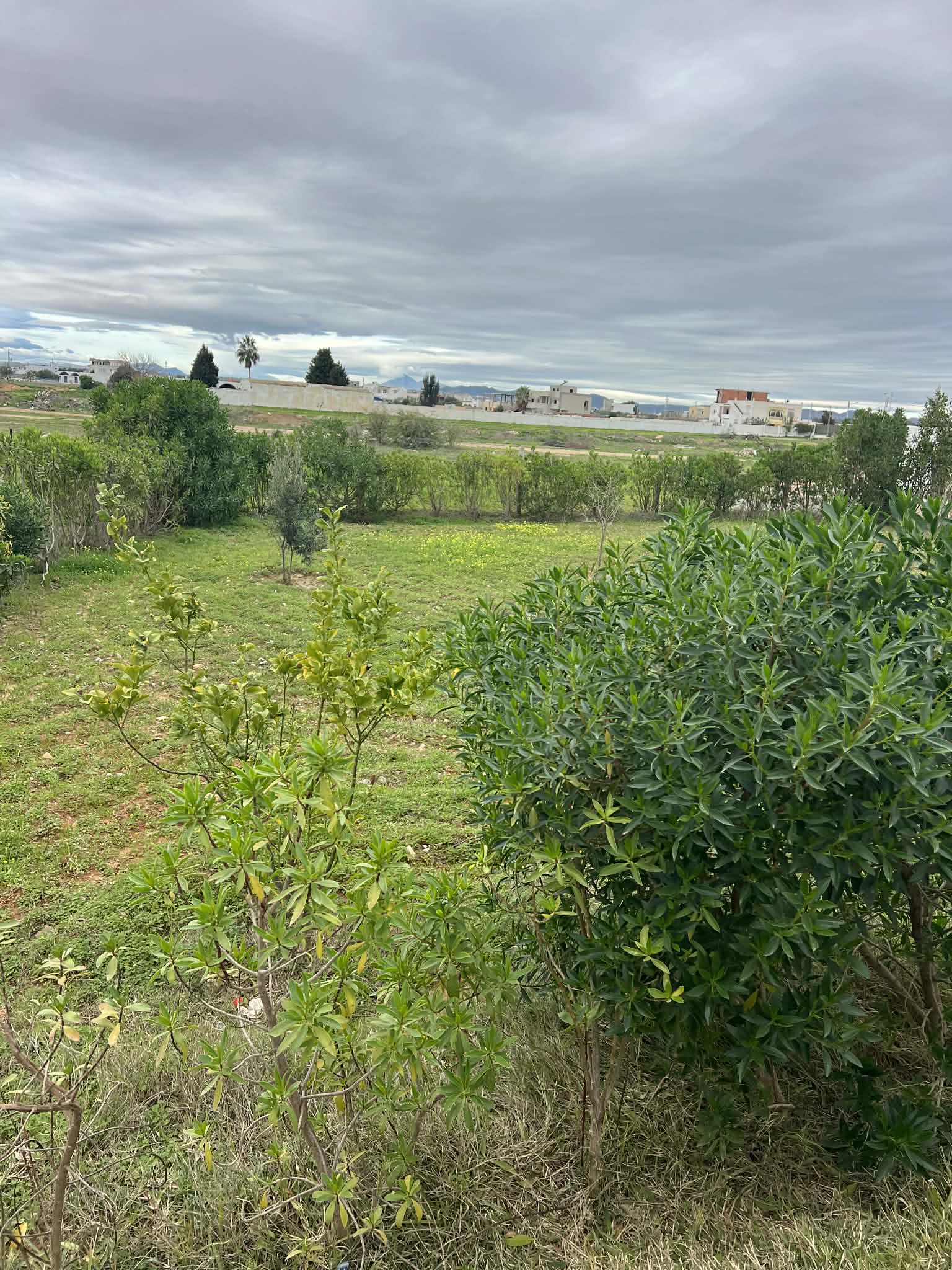 Hammamet&nbsp;Hammamet&nbsp;Vente&nbsp;Maisons&nbsp;Une villa avec un appartement