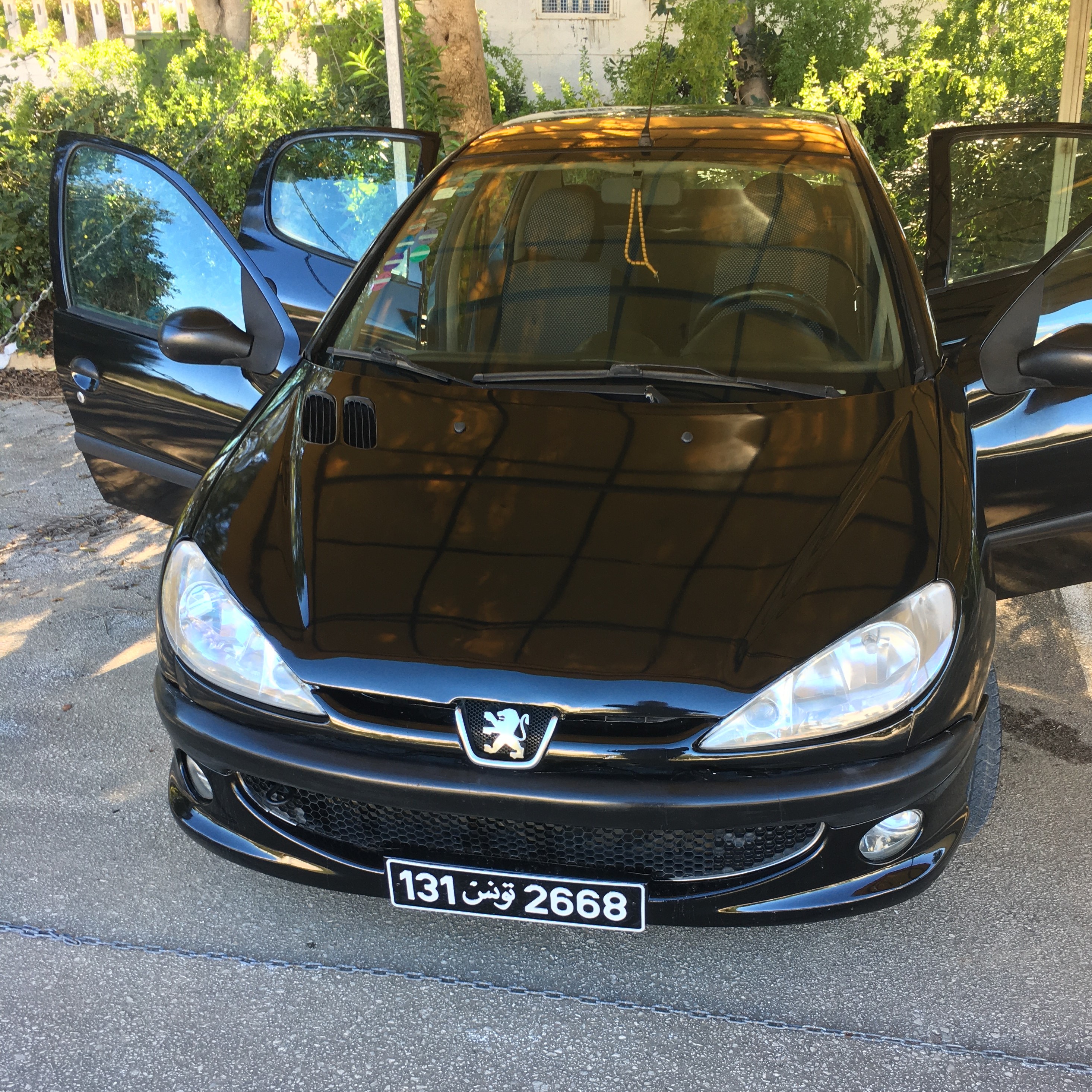 La Marsa&nbsp;Marsa Safsaf&nbsp;Peugeot&nbsp;206&nbsp;Automobile