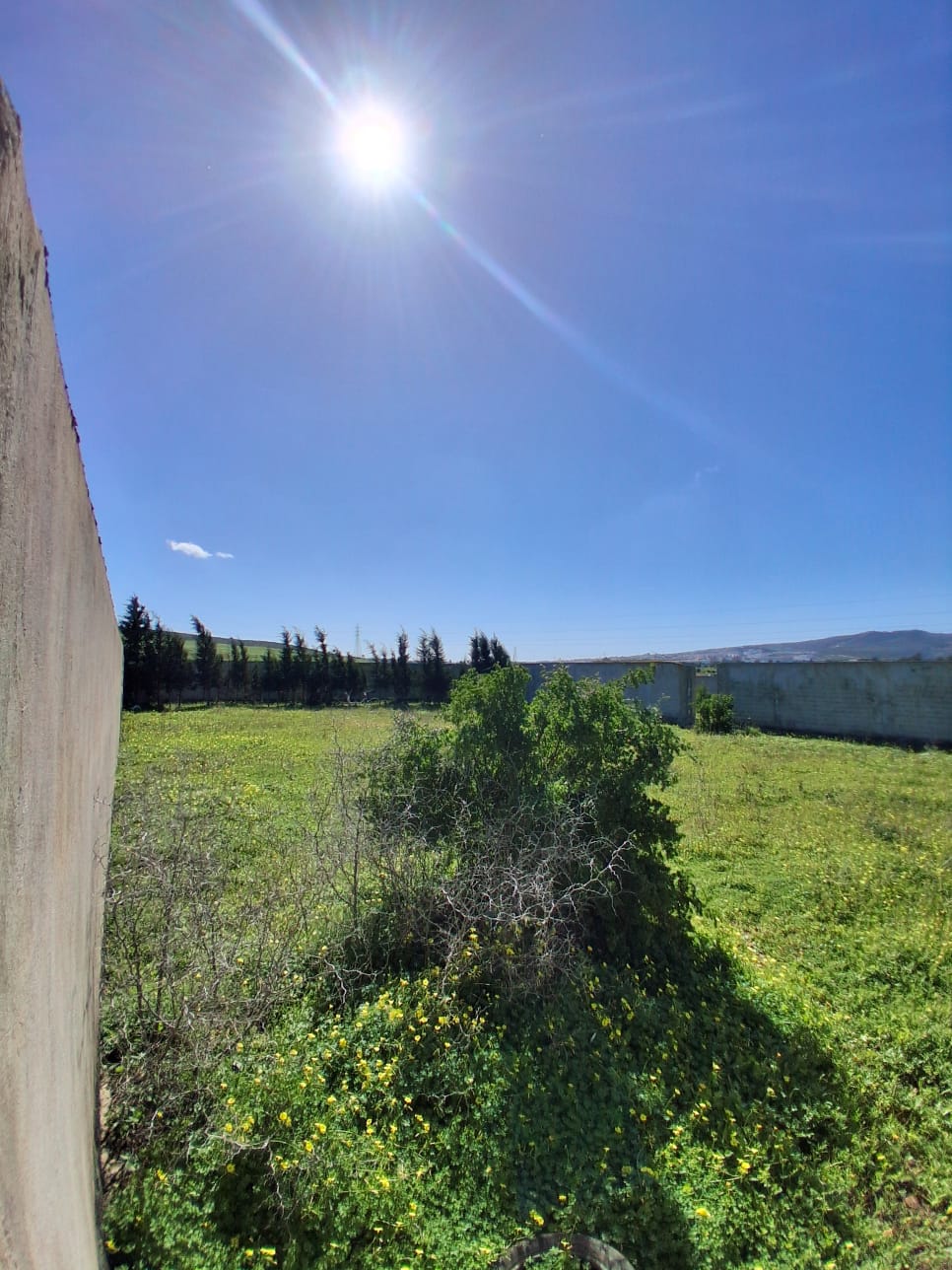 Sidi Thabet&nbsp;Cebalet Ben Ammar&nbsp;Vente&nbsp;Surfaces&nbsp;Terrain clotur� de 904m � sidi younes