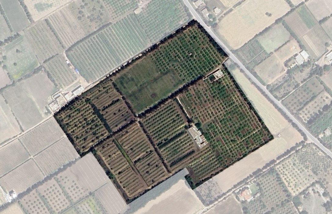 Soliman&nbsp;Bou Charray&nbsp;Terrain&nbsp;Terrain agricole&nbsp;Senia 8 hectares slimene