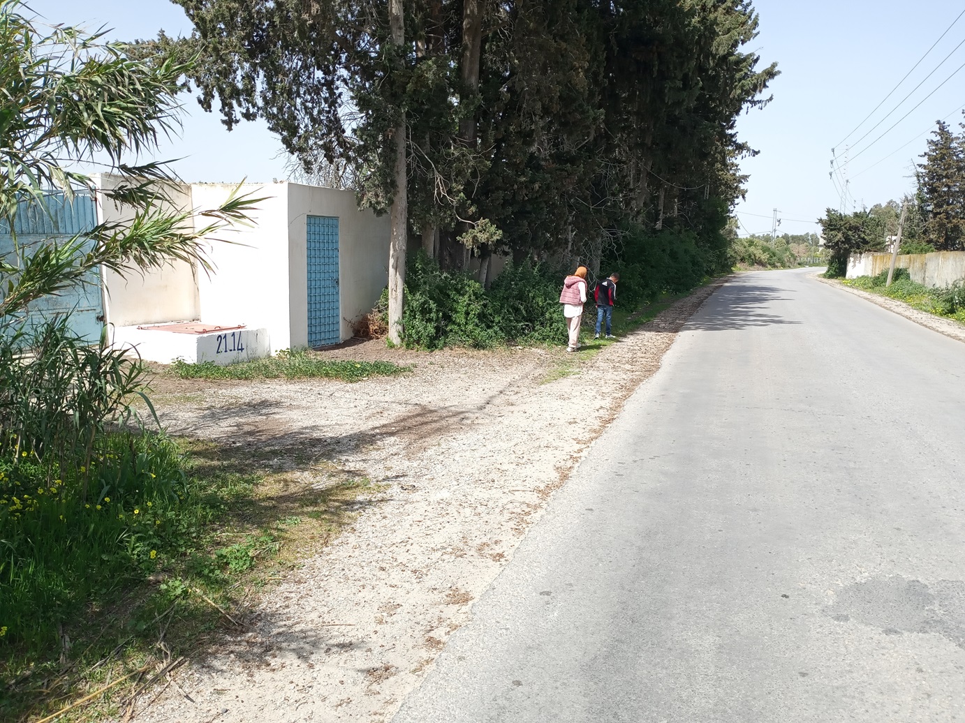 Soliman&nbsp;Bou Charray&nbsp;Terrain&nbsp;Terrain agricole&nbsp;Senia 8 hectares slimene