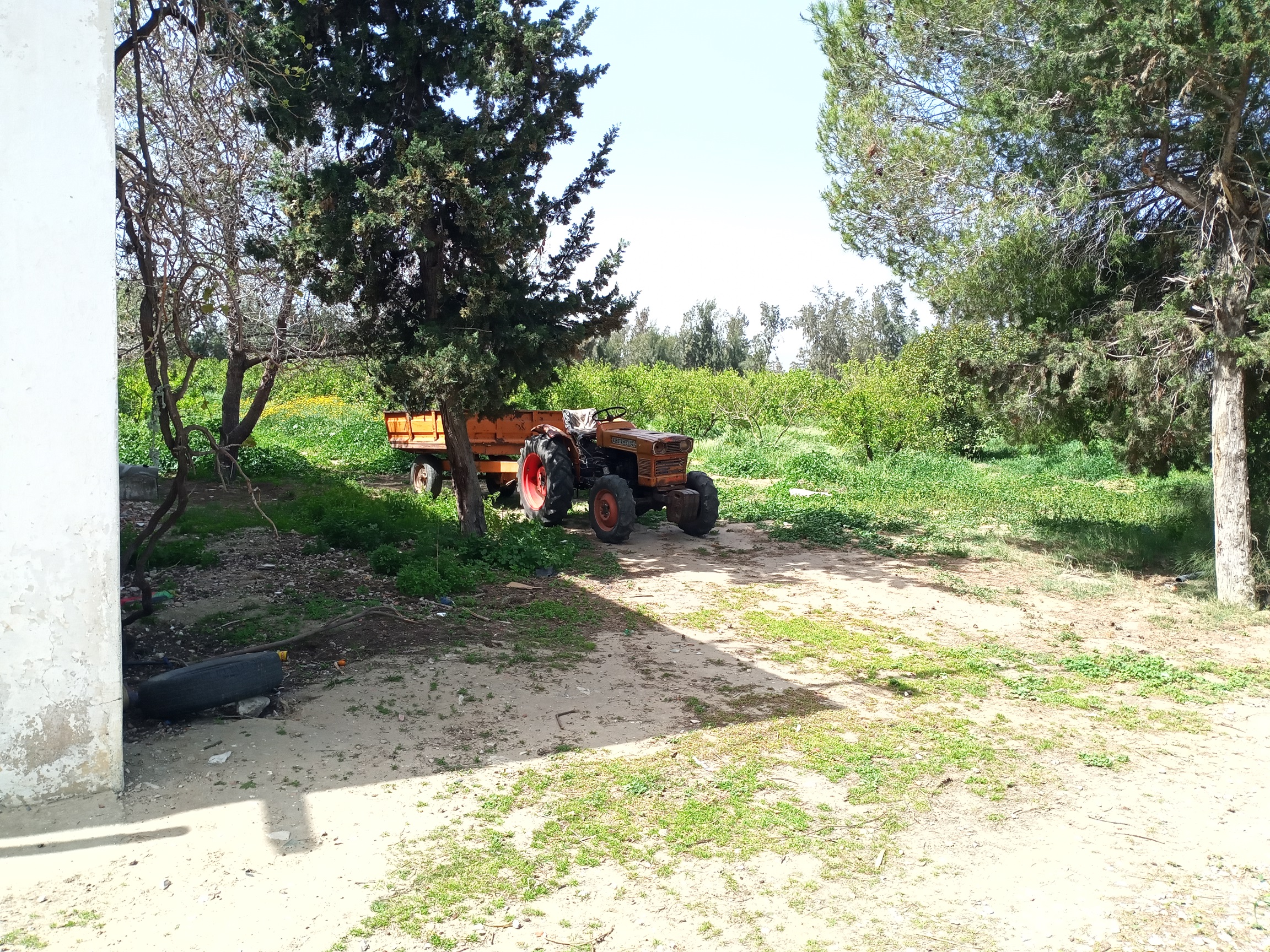 Soliman&nbsp;Bou Charray&nbsp;Terrain&nbsp;Terrain agricole&nbsp;Senia 8 hectares slimene