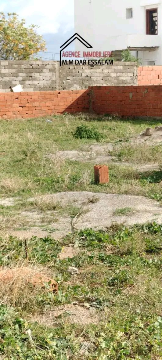 Kelibia&nbsp;Dar Allouche&nbsp;Terrain&nbsp;Terrain nu&nbsp;Lot de terrain deux �me position de mer