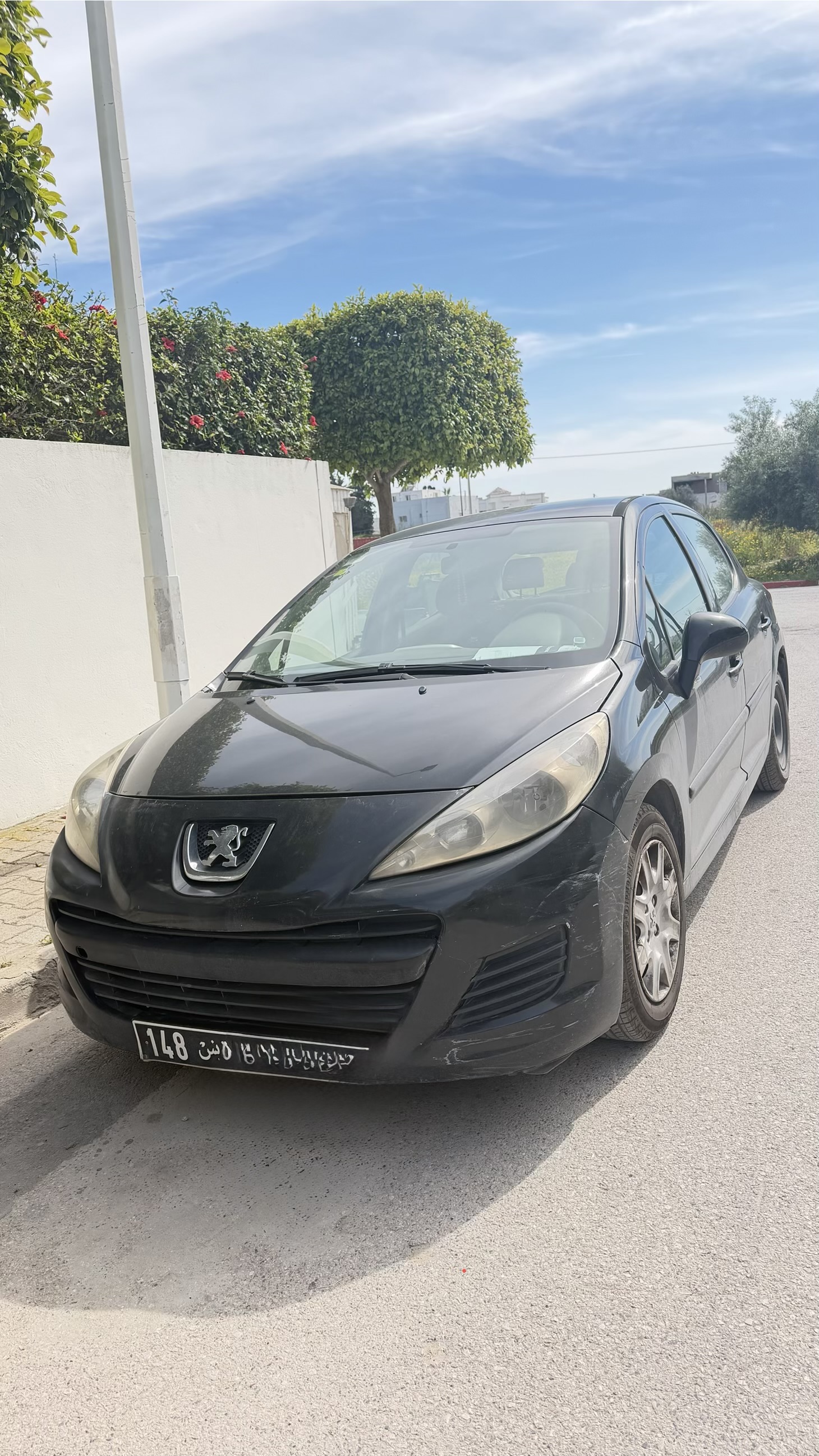 Peugeot&nbsp;207 - Tunisie
