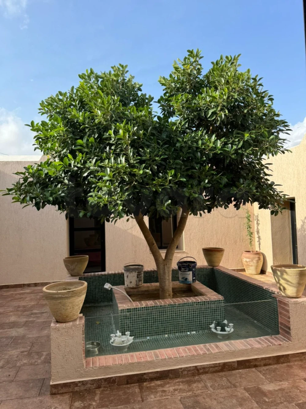 Zaghouan&nbsp;Ain Essaboune&nbsp;Terrain&nbsp;Terrain agricole&nbsp;Terrain agricole zagouan