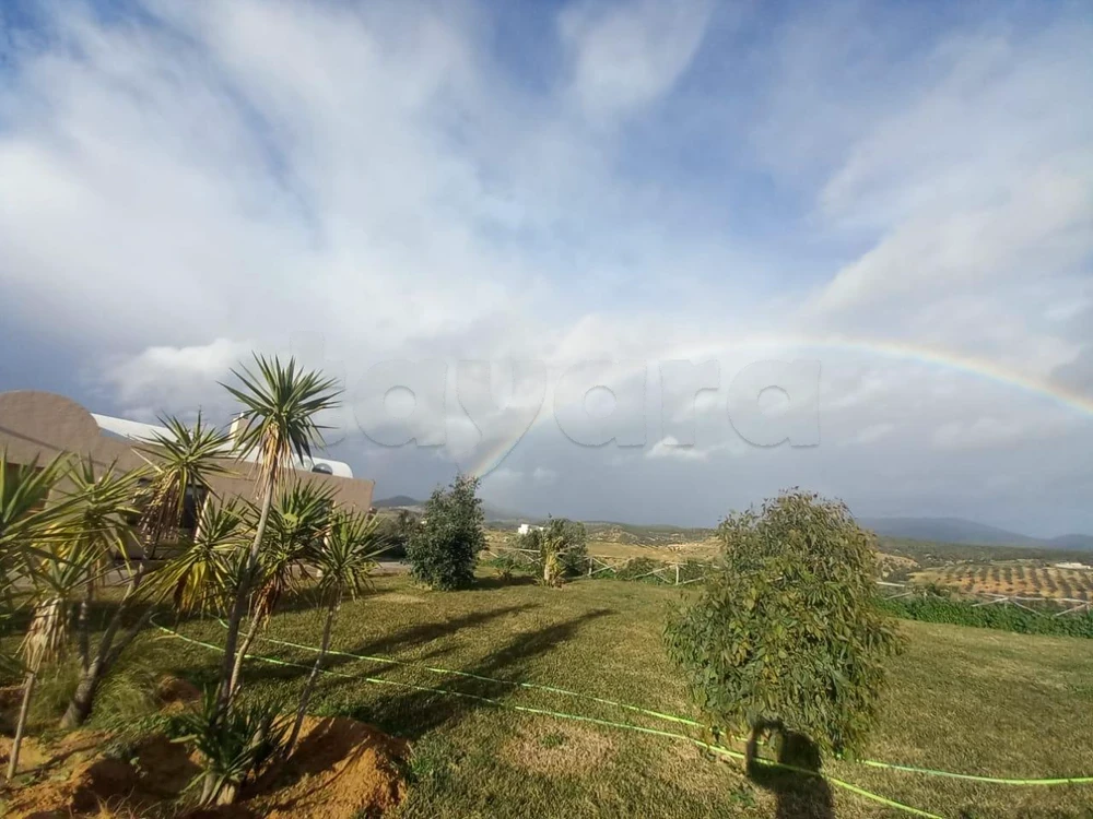 Zaghouan&nbsp;Ain Essaboune&nbsp;Terrain&nbsp;Terrain agricole&nbsp;Terrain agricole zagouan