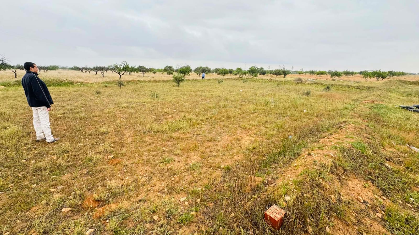 Sfax Ville&nbsp;Sidi Abdelkefi&nbsp;Terrain&nbsp;Terrain nu&nbsp;Terrain n�gociable