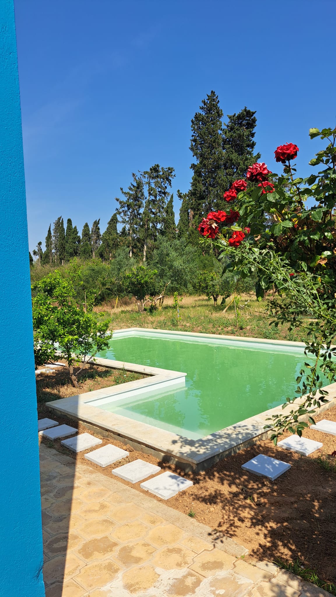 Soliman&nbsp;Korbous&nbsp;Location&nbsp;Maisons&nbsp;Villa de charme dans un verger